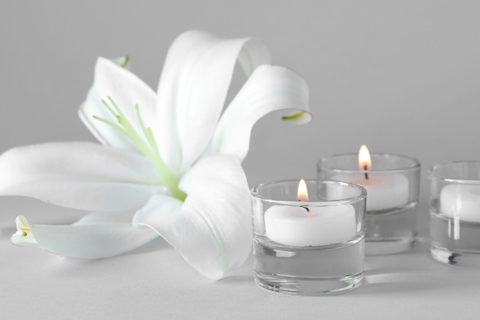 Untitled design - 2025-06-23T154552.907